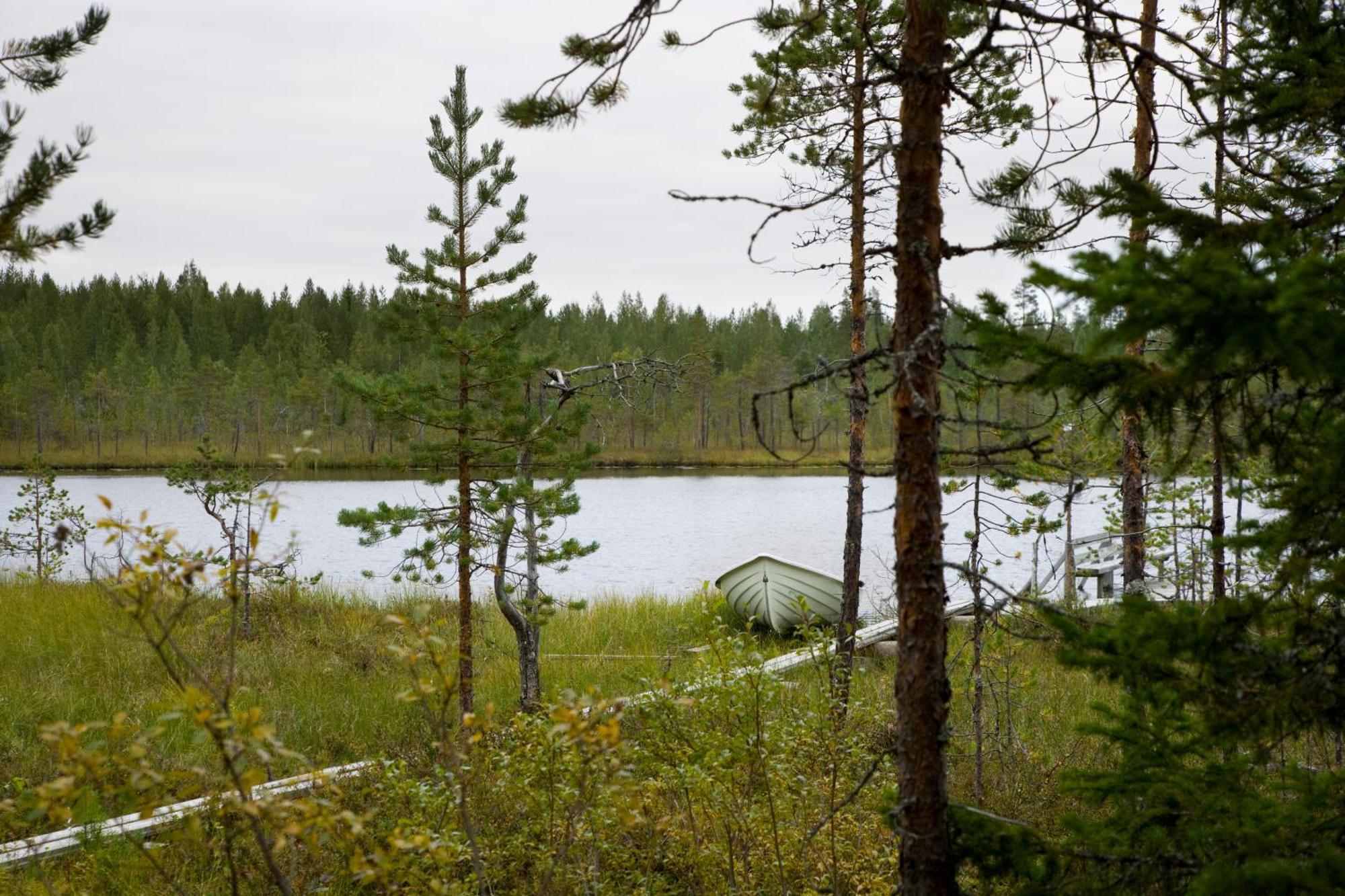 Ukonloma Haerkaelampi Villa Rovaniemi Eksteriør bilde